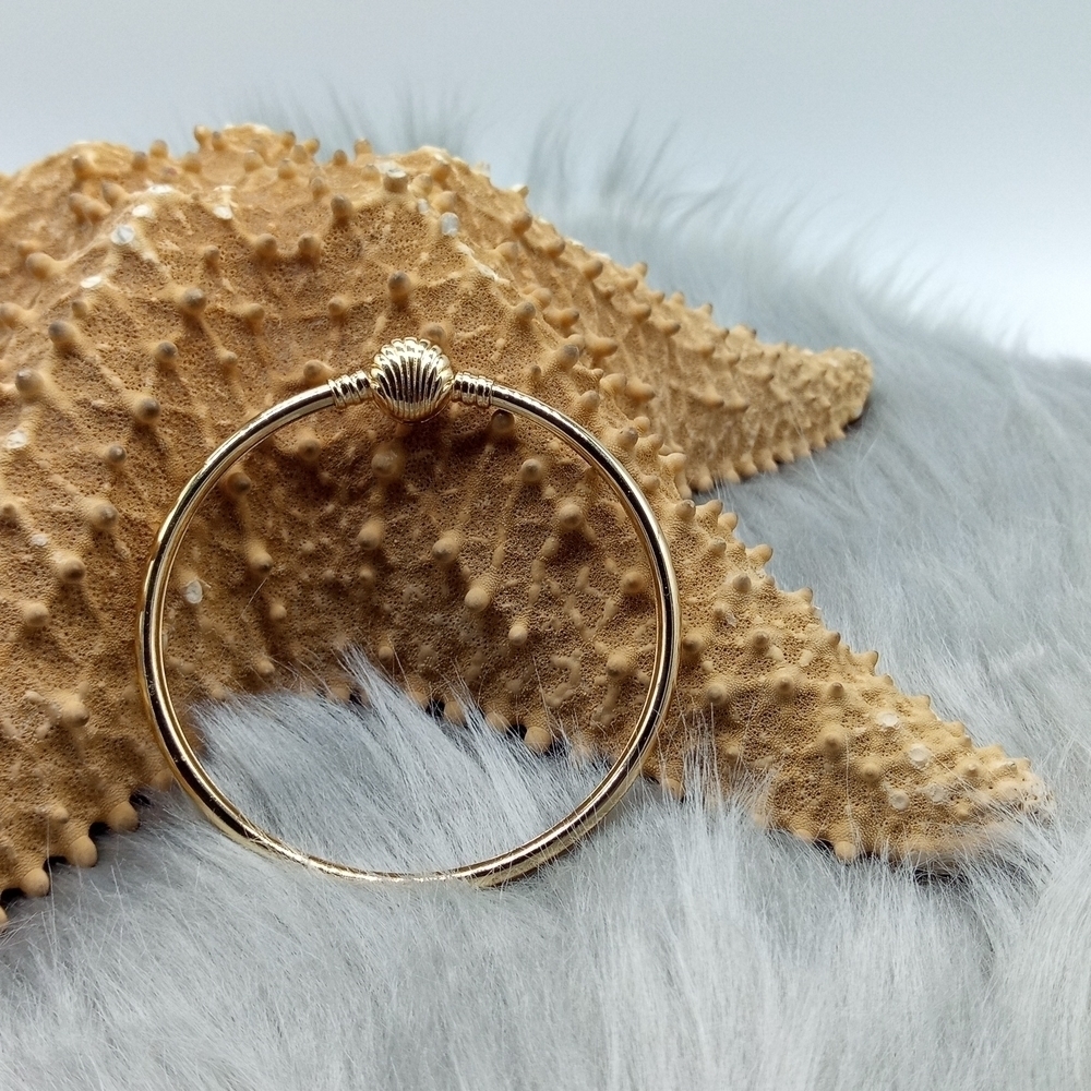 NEW Seashell Locket Bangle - Picture 2 of 11
